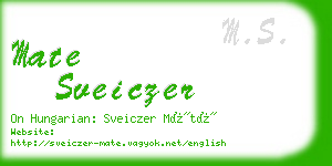 mate sveiczer business card